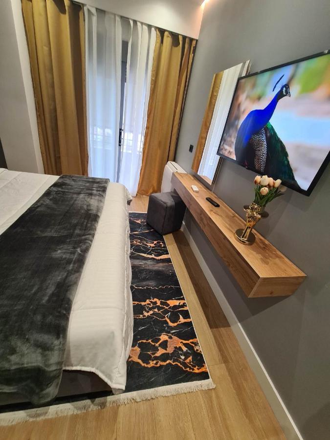 Grey Luxury Apartment Αργυρόκαστρο Εξωτερικό φωτογραφία